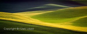 Tavaszi mező zöld-sárga színben